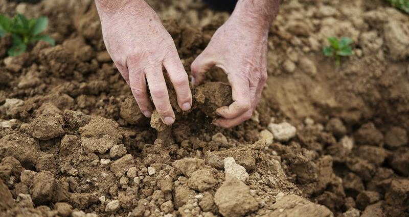 A photo of a man touching soil.