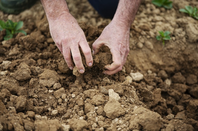 Pay Dirt: Conserve Money, Energy, and Improve Soil Health with No