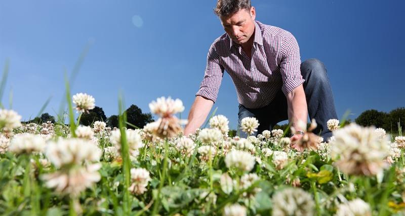 Richard Findlay, NFU Livestock Board chair at his farm in North Yorkshire. Richard with clover flowers as part of his net zero initiatives