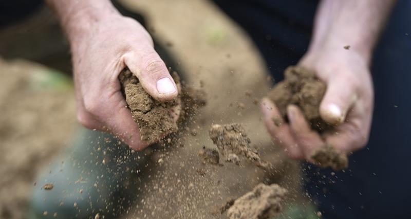 David Exwood crumbling soil through hands