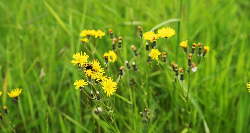NFU demands urgent clarity as 28,000 agri-environment schemes near expiry