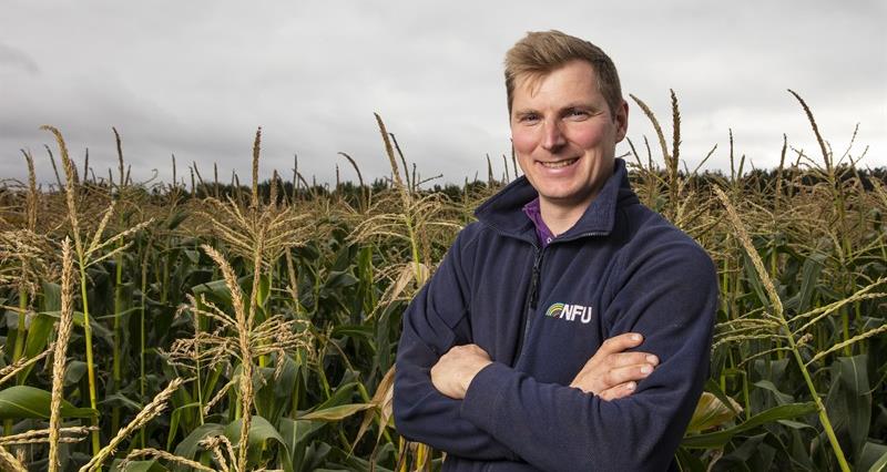 An image of Richard Bower in front of a corn field