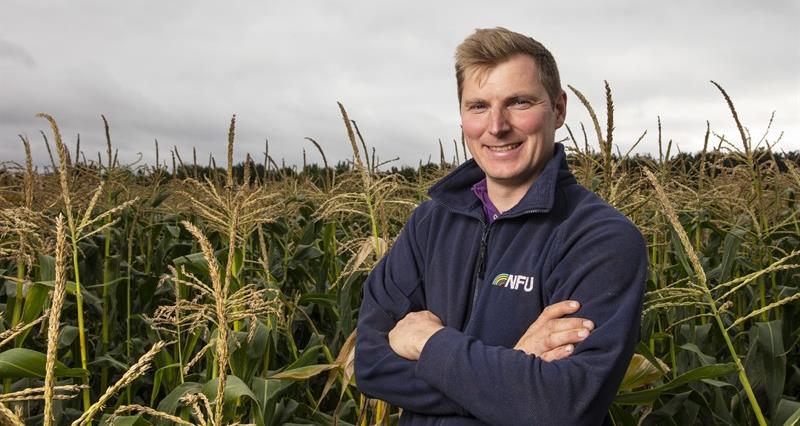 An image of Richard Bower in front of a corn field