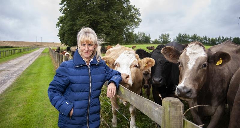 NFU President Minette Batters at her farm in Salisbury, Wiltshire, England, pictured by her herd of beef cattle.