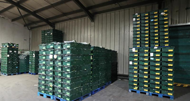 An image of crates being loaded