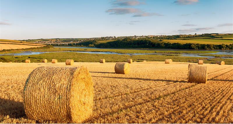 An image showing bales in a field 