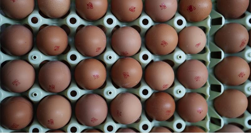 An image of eggs on a tray.