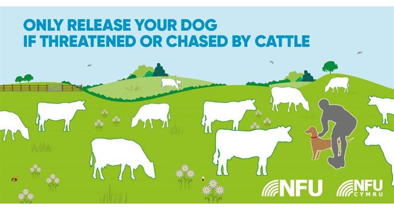 Countryside Code release dog NFU Twitter infographic