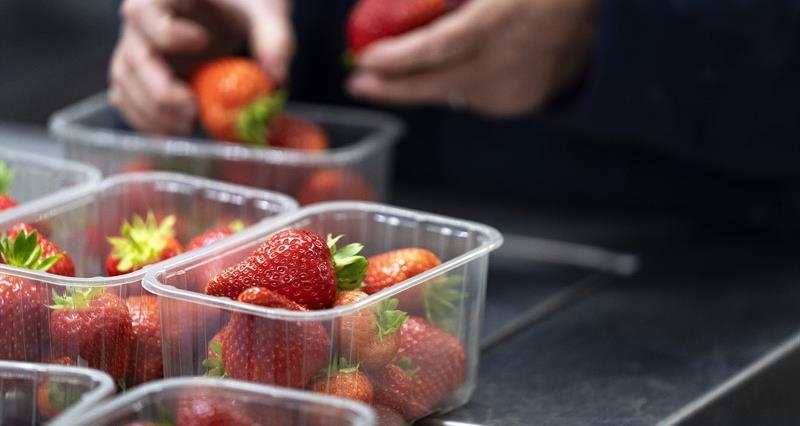 Plastic packaging tax consultation – have your say