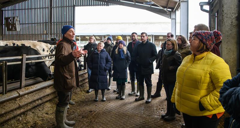 MPs gathered in dairy shed listening to a male farmer talk about his business. There are black and white dairy cows in the background.