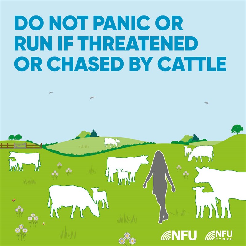 Countryside Code don't panic NFU Facebook Instagram infographic