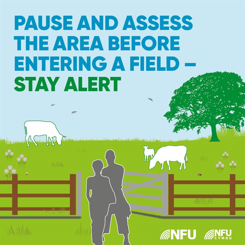 Countryside Code pause and assess NFU Facebook Instagram infographic