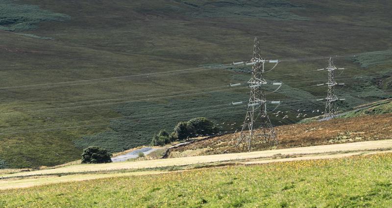 Electricity pylons on farmland