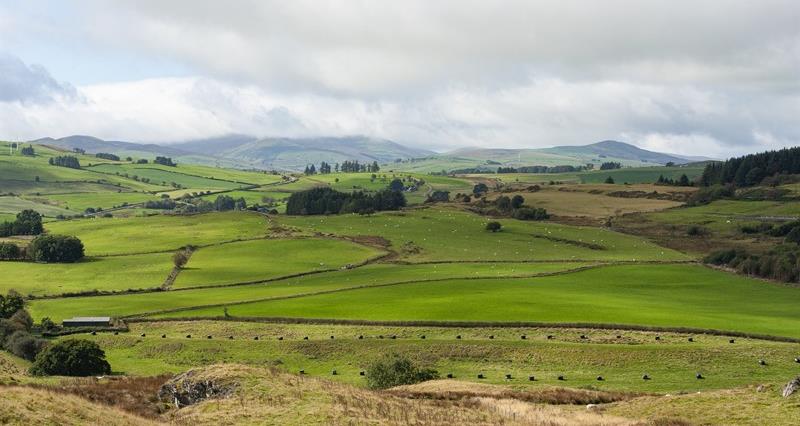 A farming landscape 