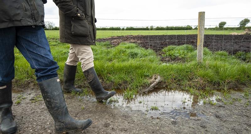 A picture of two people walking along a wet path by the side of a field