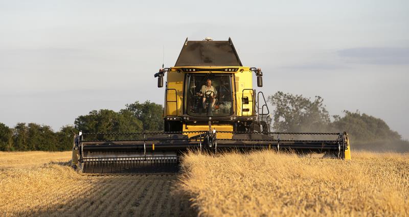 Meet the NFU North Crops Board