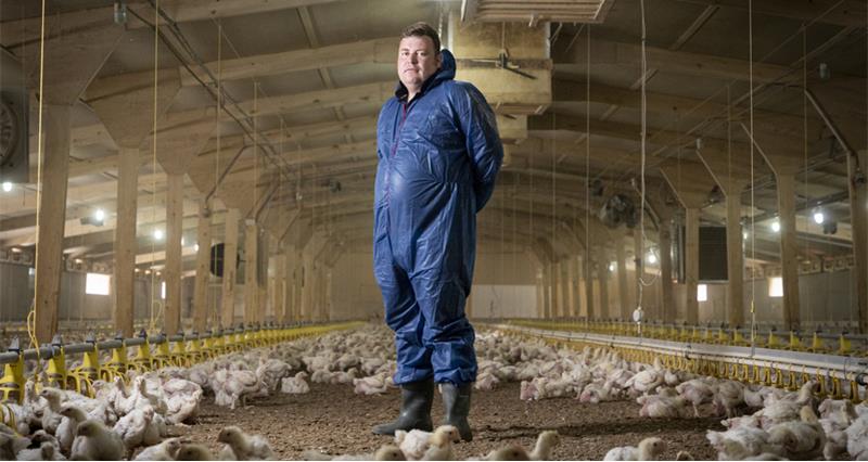 NFU Poultry Board Chair James Mottershead