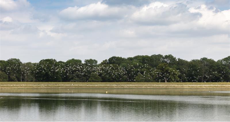 Water reservoir