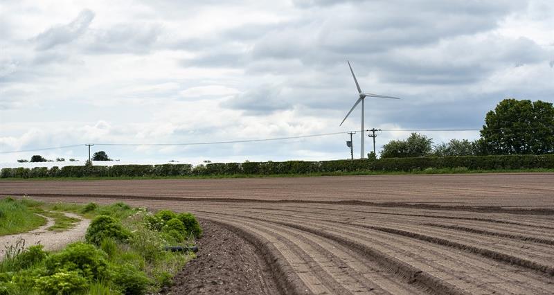 Wind turbine on a farm