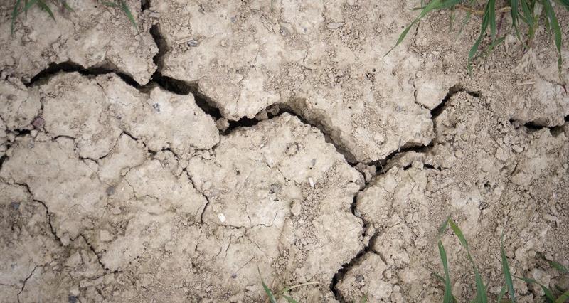 A close up image of dry earth with cracks in the soil