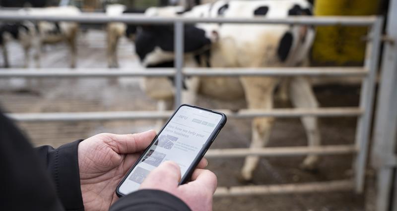An image of a mobile phone being used on farm.