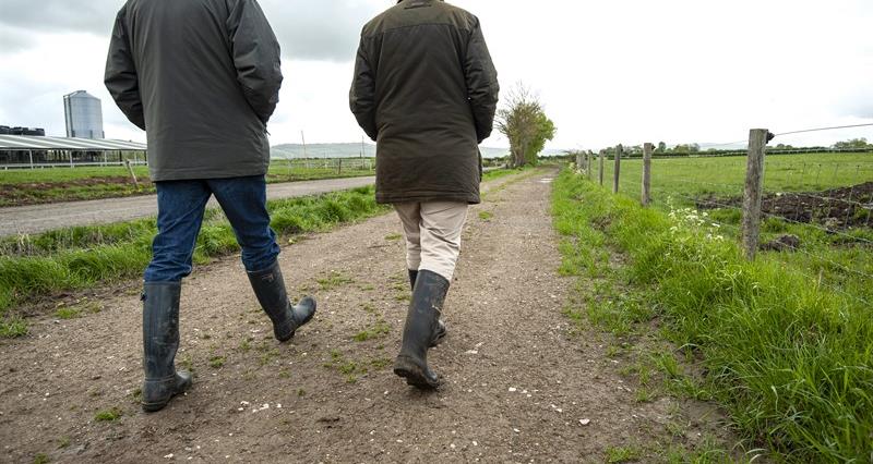 A picture of two people walking along a farm track