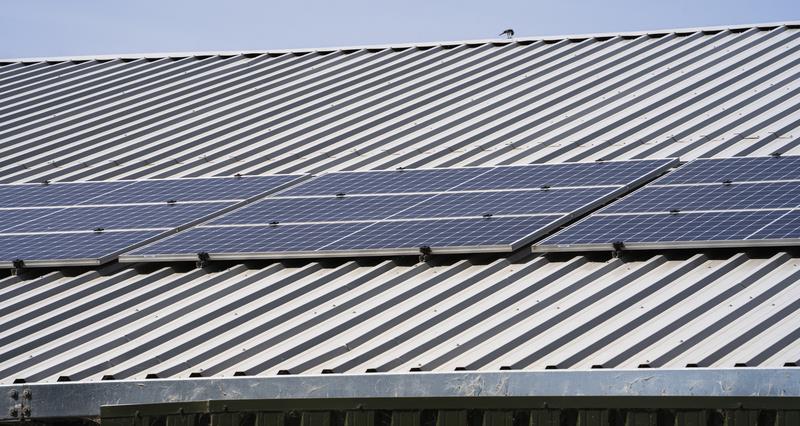 Solar panels on a poultry shed
