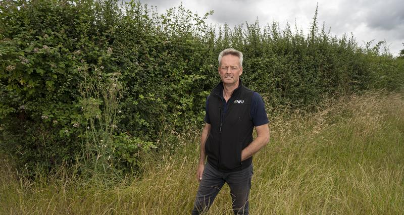 NFU Vice President David Exwood stood next to a hedgerow on a farm