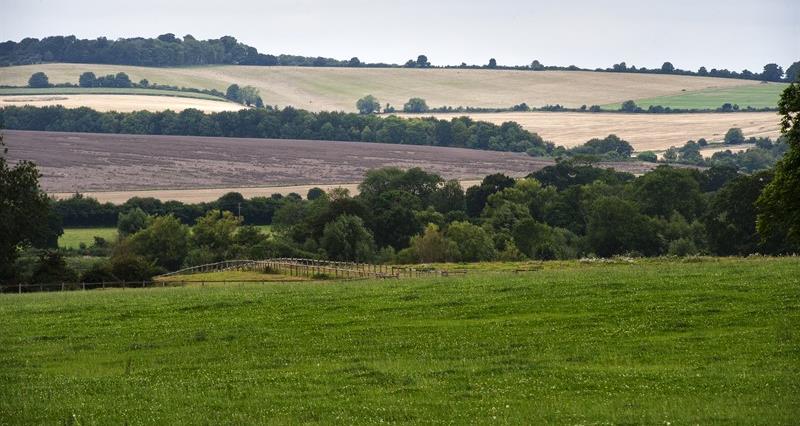 Wiltshire farming scene