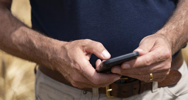 Man looking at his phone