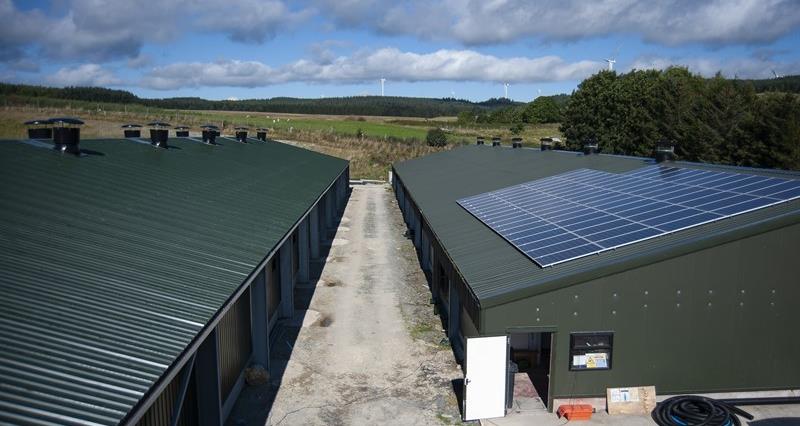 Farm sheds with solar panels on the roofs