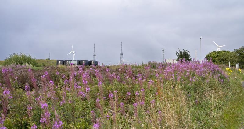 Wind turbines on farmland
