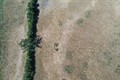 Drought_grassland_02.JPG