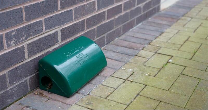 Rat bait station