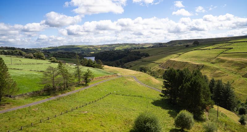 Farm landscape in Yorkshire