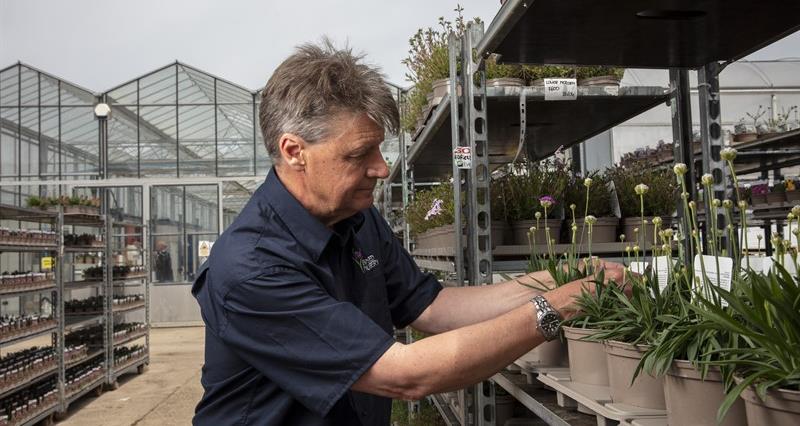 A picture of Martin Emmett tending plants outside in his nursery