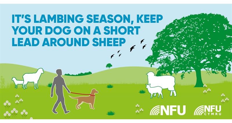 Countryside Code lambing season NFU Twitter infographic
