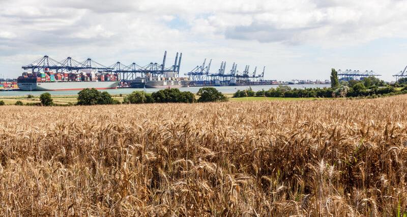 Felixstowe shipping port