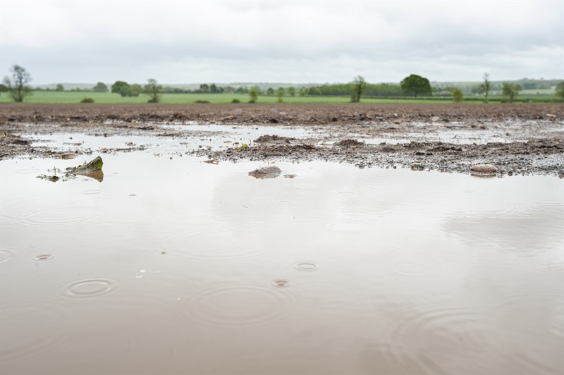 Badly flooded field