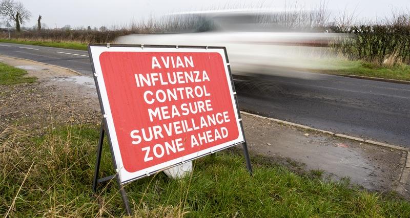 A photo of a road sign indicating that an Avian Influenza Surveillance Zone 