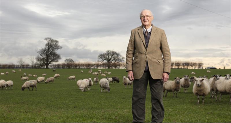 An image of Henry Plumb in a field of sheep