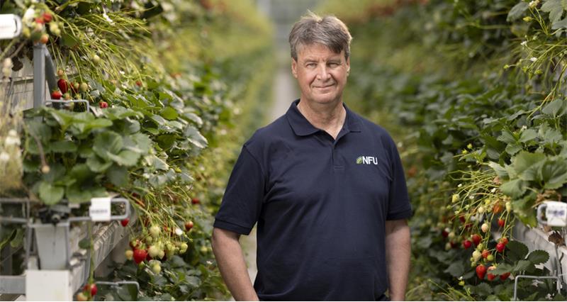 Martin Emmett surrounded by strawberries