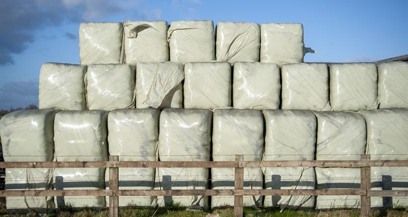 Bales of silage wrapped in silage wrap