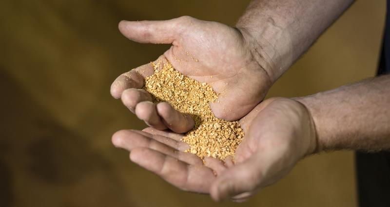 Man holding soy
