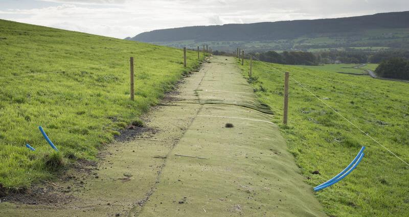 Artificial turf on a cattle track