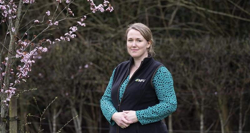 Letter on Robyn's trip to the WFO meeting in Kenya   