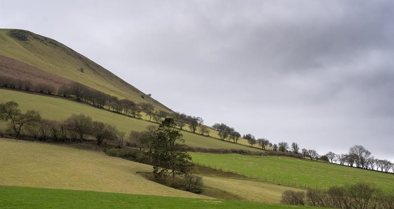 Picture of farmland in mid Wales