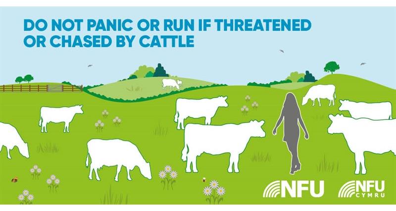 Countryside Code don't panic NFU Twitter infographic