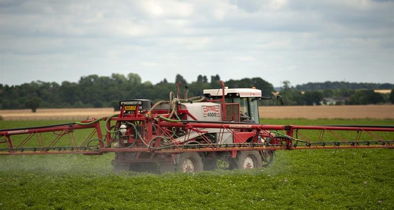 An image of a sprayer in a field of growing potatoes