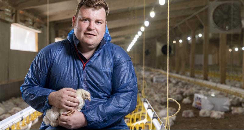 A photo of NFU Poultry Chairman James Mottershead holding a broiler inside a broiler house. He is wearing protective clothing.